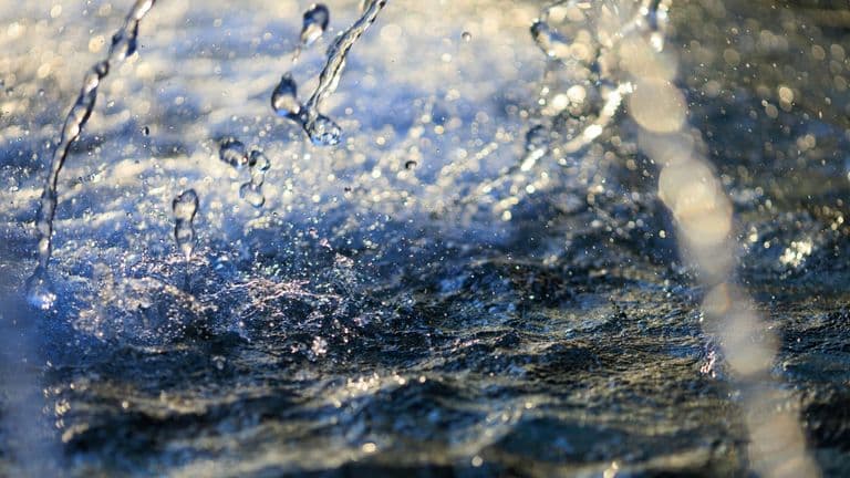 Supreme Court Declines Review, Preserves Citizen Enforcement Under Clean Water Act