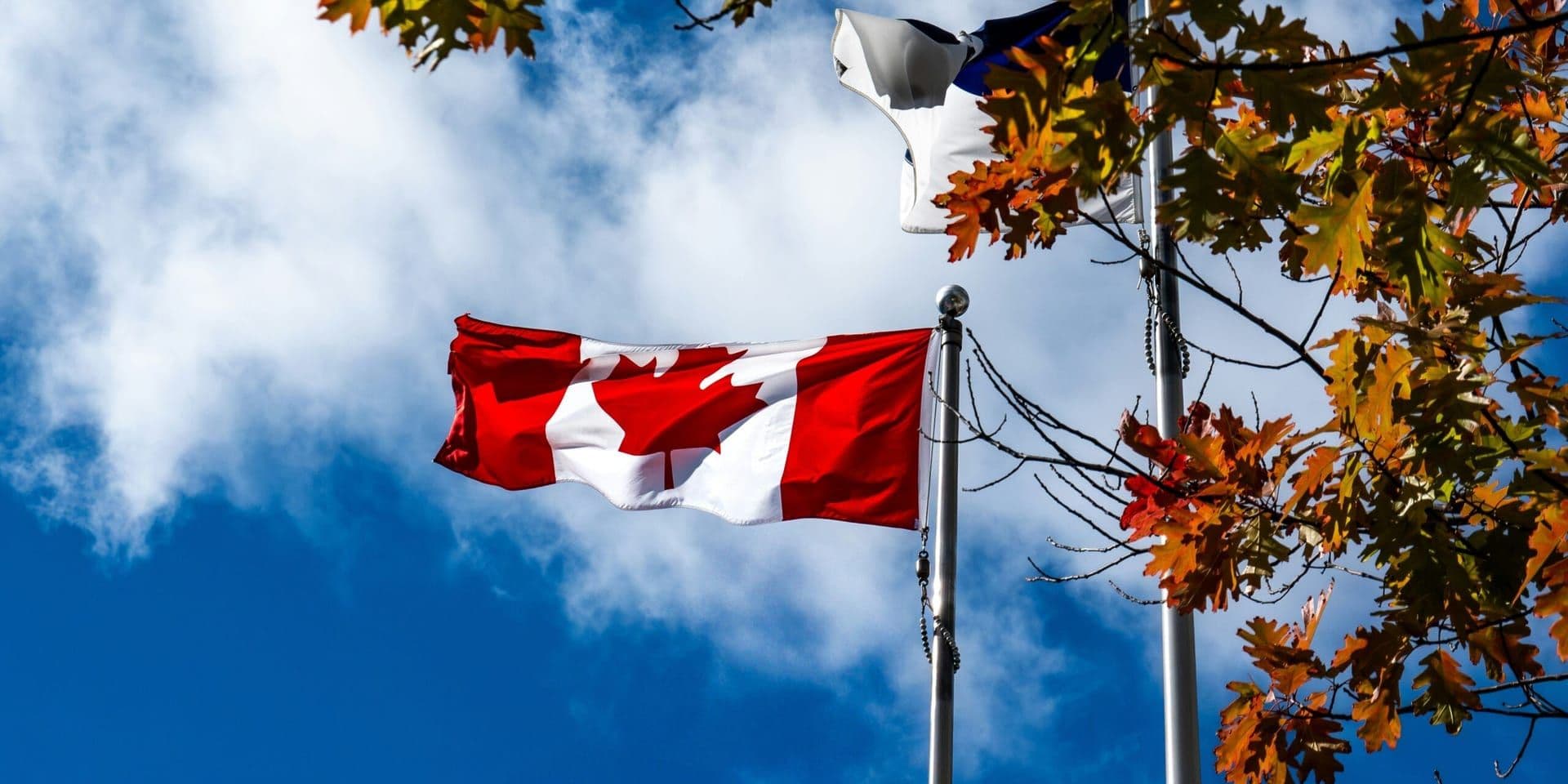 U.S. Imposes 10% Tariff on Canadian Goods in Retaliation for Anti-Tariff Ad