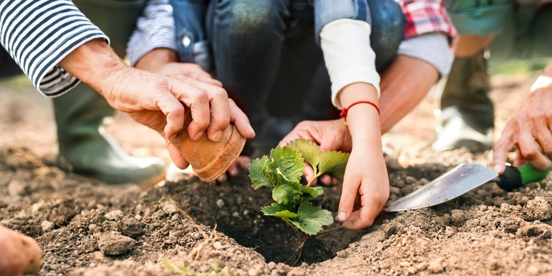 The Future of Corporate Social Responsibility (CSR) – Innovations and Trends Shaping Business Ethics in 2025