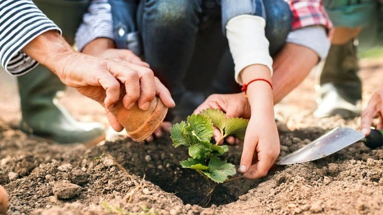 The Future of Corporate Social Responsibility (CSR) – Innovations and Trends Shaping Business Ethics in 2025