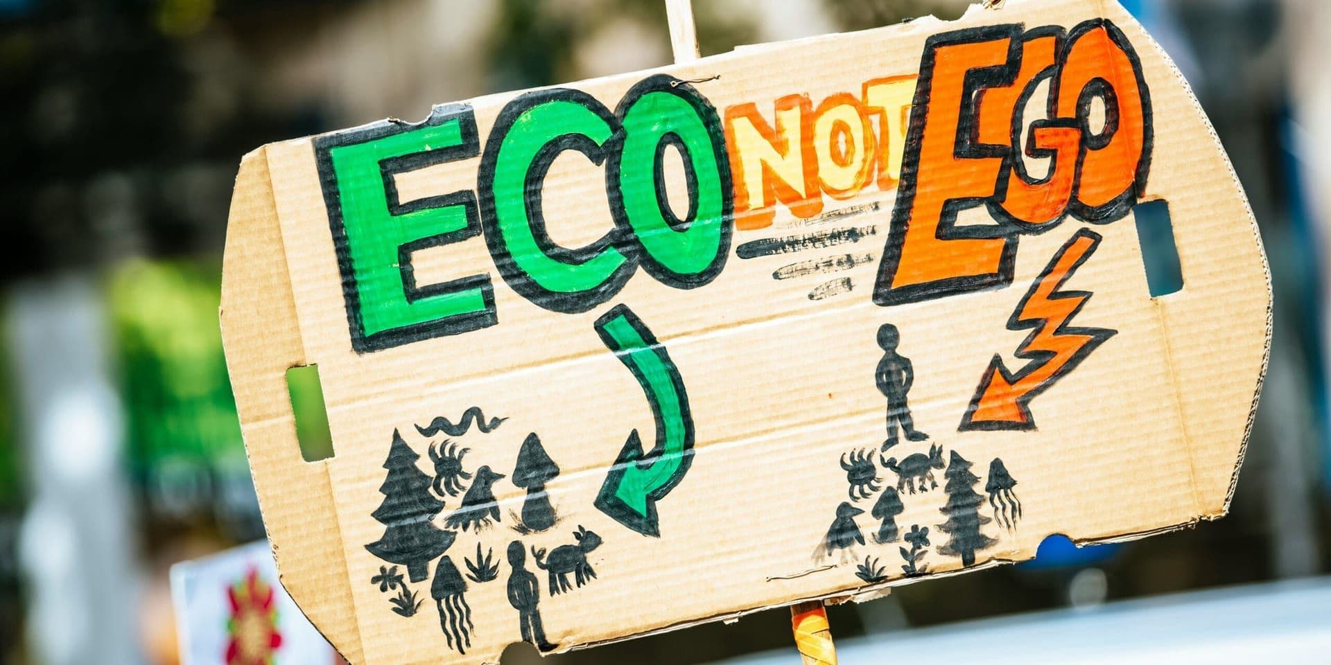 Corporate Responsibility Amid Environmental Regulation: An Emerging Legal Frontier