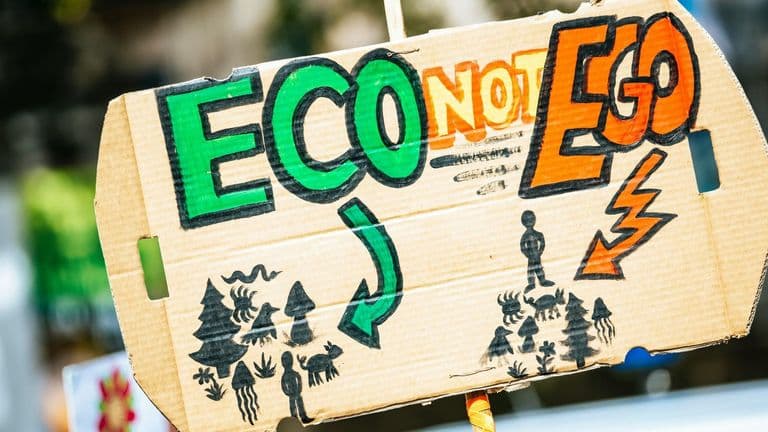Corporate Responsibility Amid Environmental Regulation: An Emerging Legal Frontier