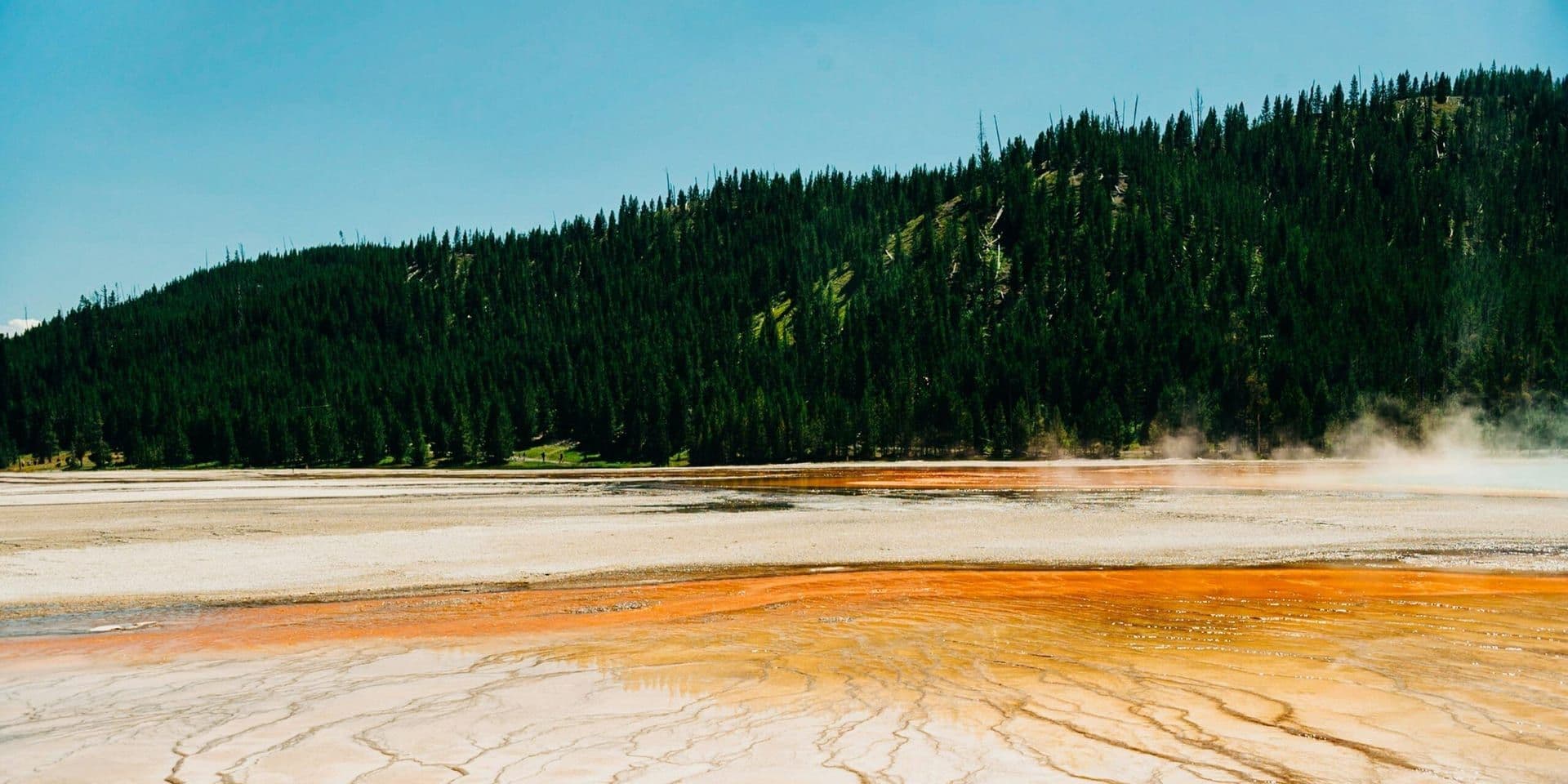 Supreme Court Limits Federal Agencies’ Environmental Authority