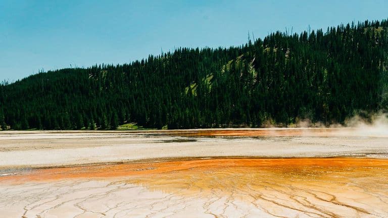 Supreme Court Limits Federal Agencies’ Environmental Authority