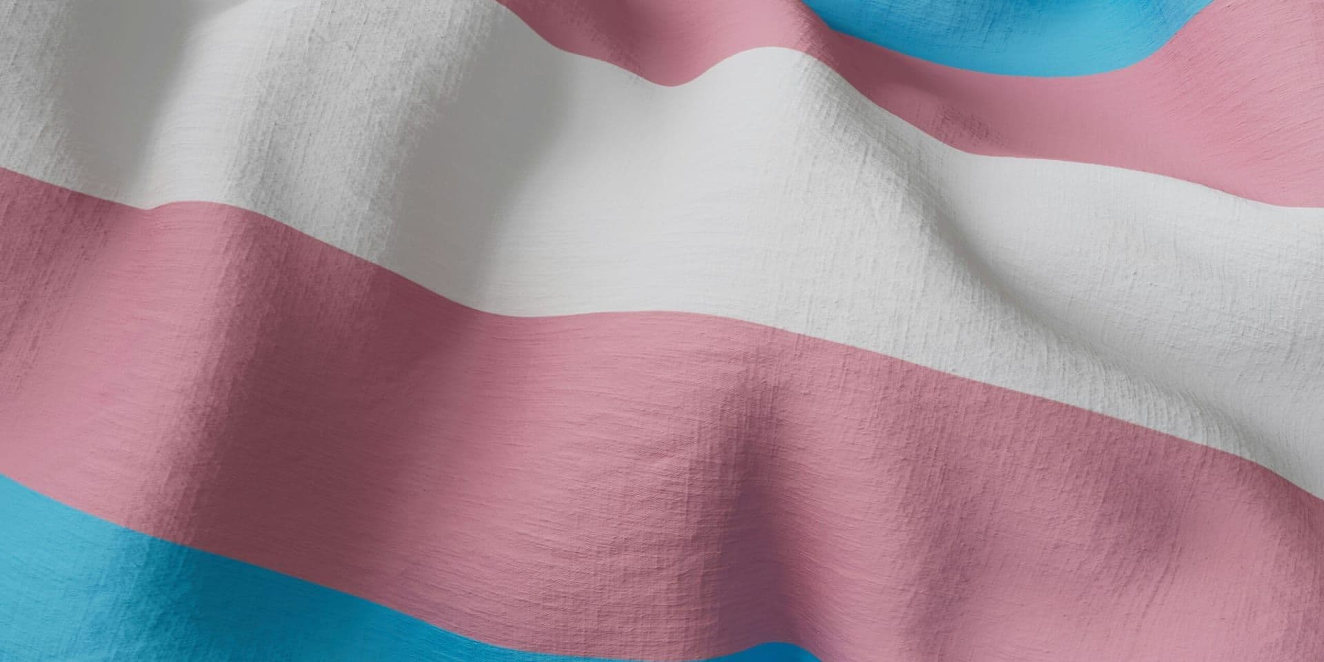 Meet the Lawyers Fighting for Transgender Rights in America