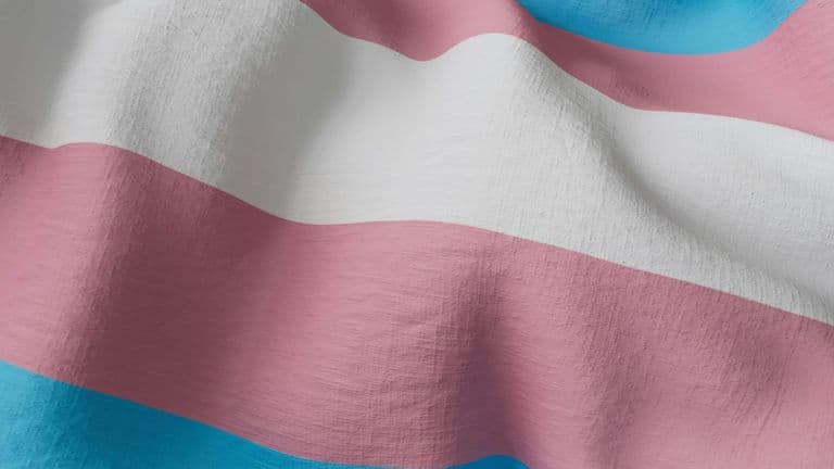 Meet the Lawyers Fighting for Transgender Rights in America