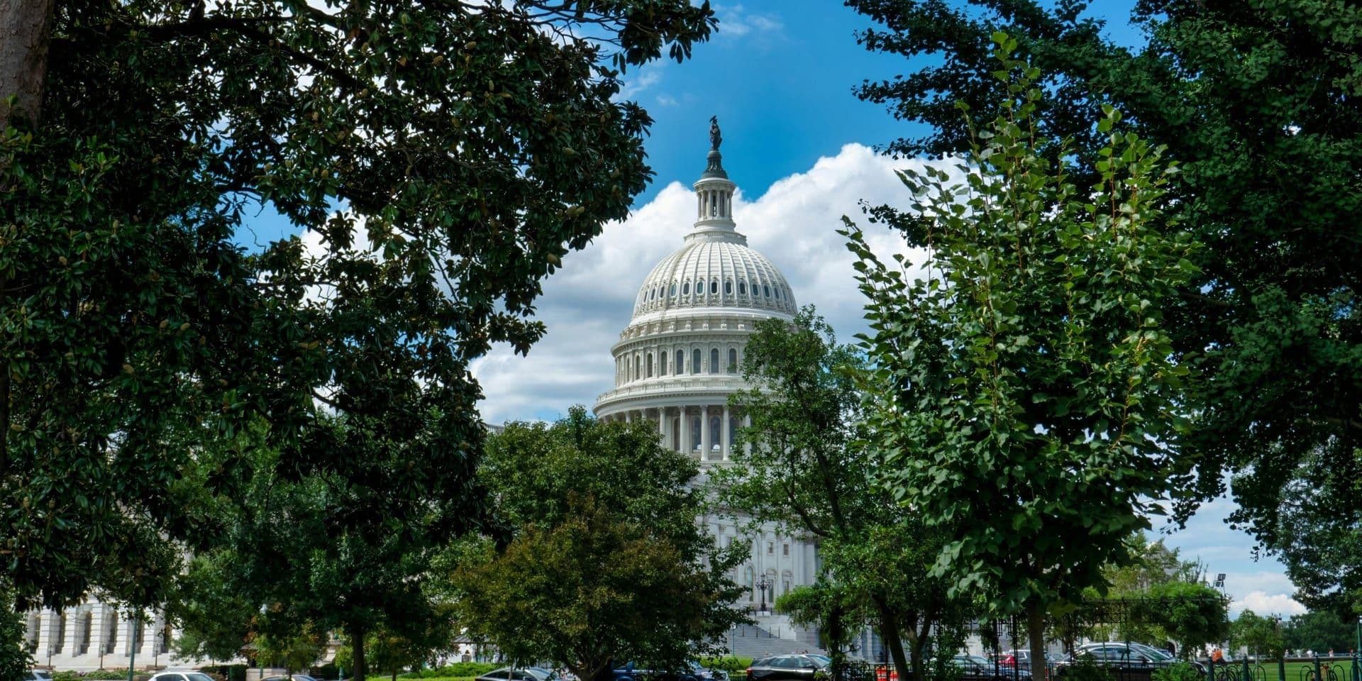 Regulatory Spotlight Intensifies Governance Scrutiny in August