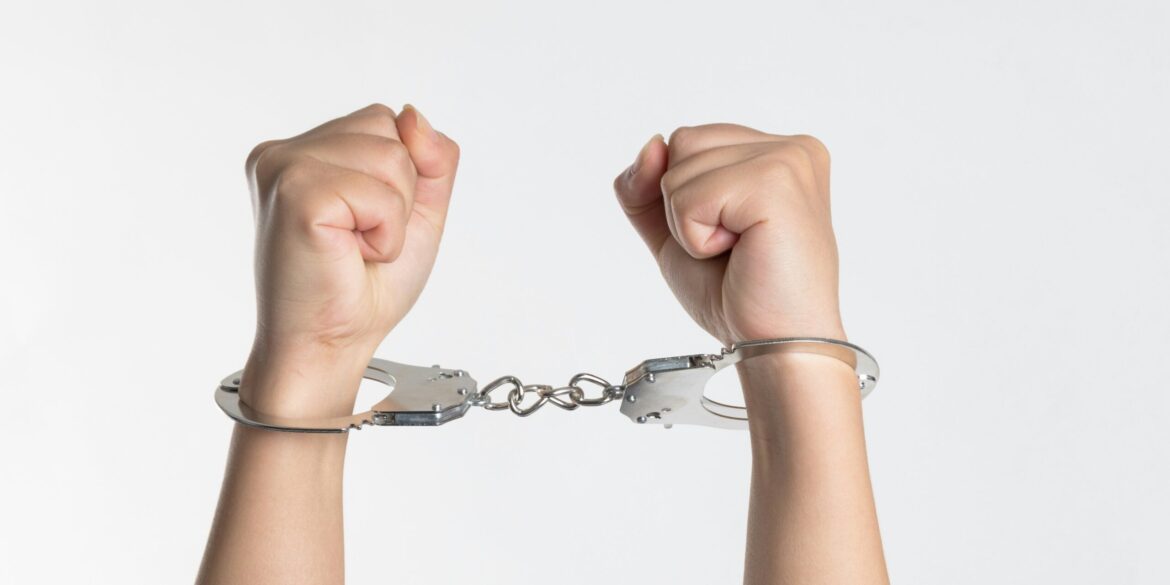 Niu niu 5hzotv fslw unsplash